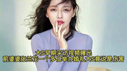 爆料婆婆视频下载,揭秘家庭矛盾背后的真相 第2张 爆料婆婆视频下载,揭秘家庭矛盾背后的真相 第2张